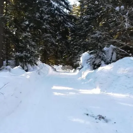 Maco * Liptovský Mikuláš