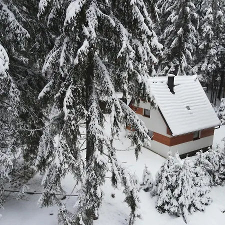 Orman Evi Maco