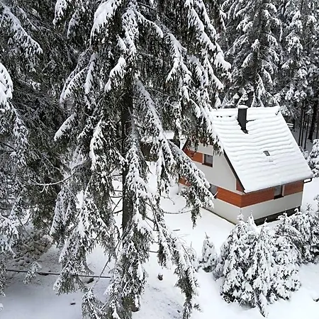Lodge Maco *